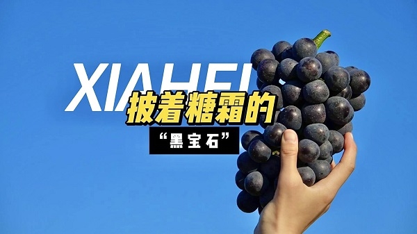 微信图片_20250715171601